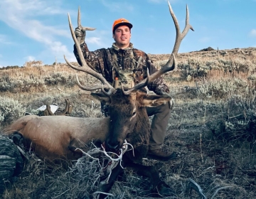 Sns Wyoming Wilderness Elk 2025 5